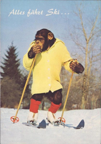 Alles fährt Ski Vorderseite