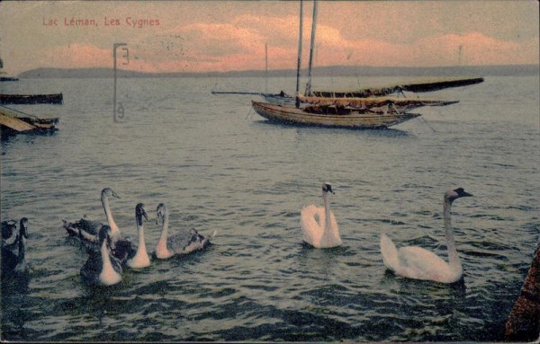 Lac Léman, Les Cygnes Vorderseite