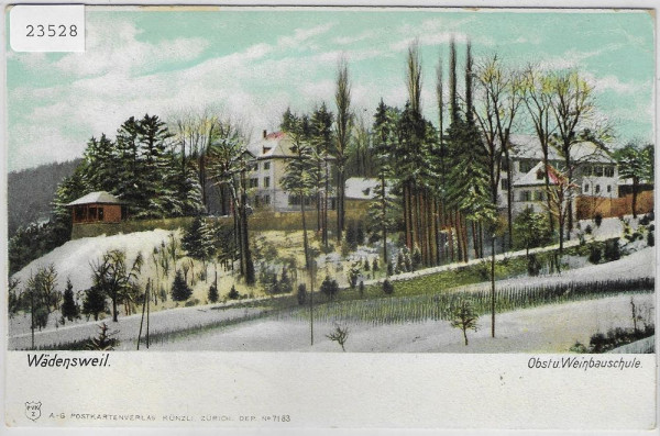 Schweiz. Obst- und Weinbauversuchs-Schule - Wädenswil im Winter