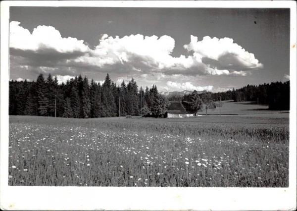 unbekannte Landschaft Vorderseite