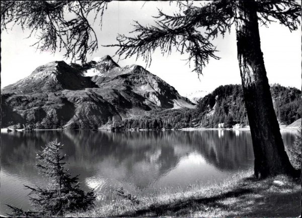 Silsersee Vorderseite
