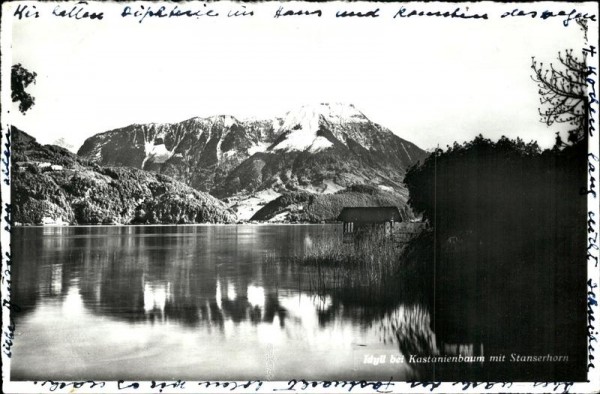 Idyll bei Kastanienbaum mit Stanserhorn Vorderseite