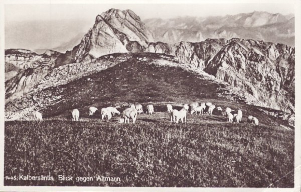 Kalbersäntis - Blick gegen Altmann