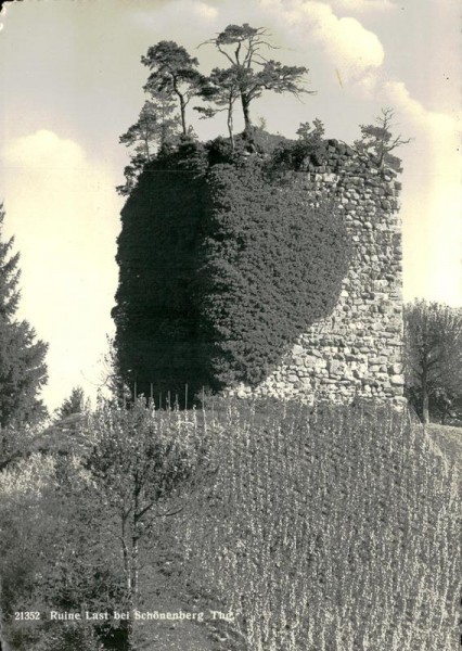 Schönenberg, Ruine Last Vorderseite