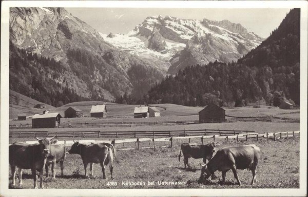 Unterwasser SG Vorderseite