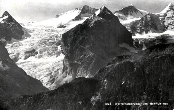 Wetterhorngruppe von Hohfluh aus Vorderseite