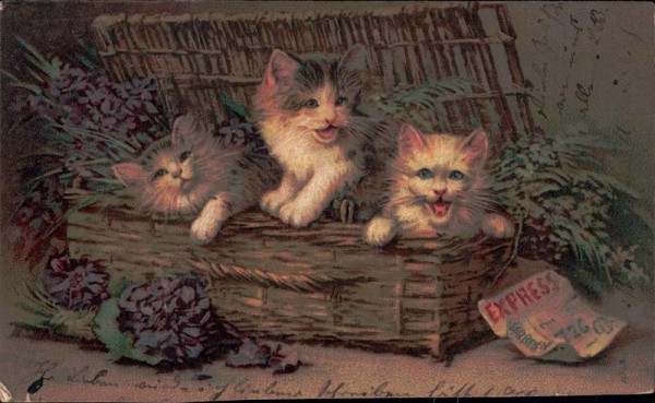 Katzen im Korb Vorderseite