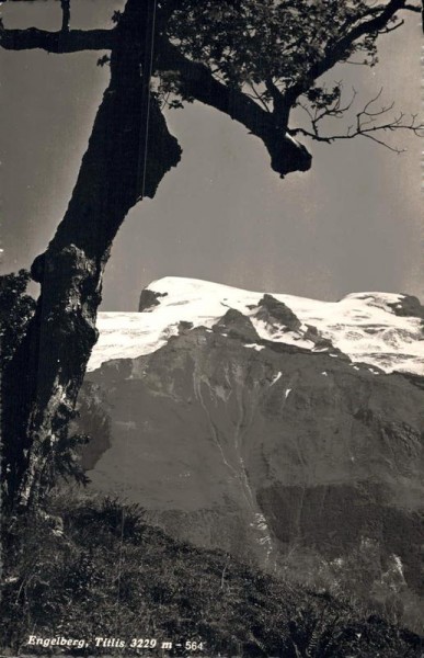 Engelberg. Titlis Vorderseite