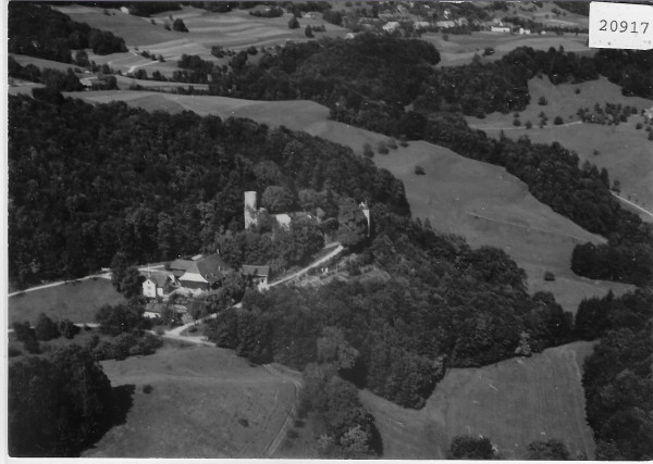 Flugaufnahme Schloss Bipp BE