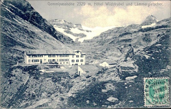 Gemmipass Vorderseite