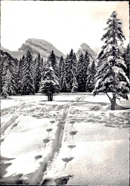 Sellamatt mit Churfirsten (Scheibenstoll & Zustoll) Vorderseite