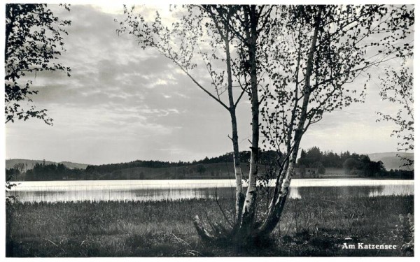 Am Katzensee Vorderseite