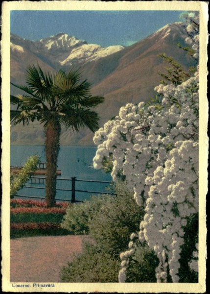 Locarno Vorderseite