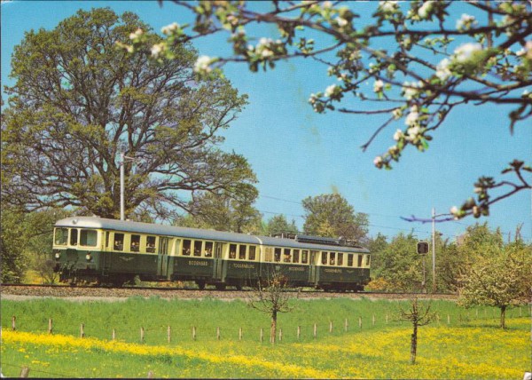 Bodensee-Toggenburg-Bahn im Thurgau