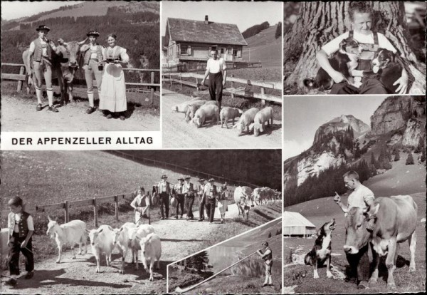 Appenzeller Alltag Vorderseite