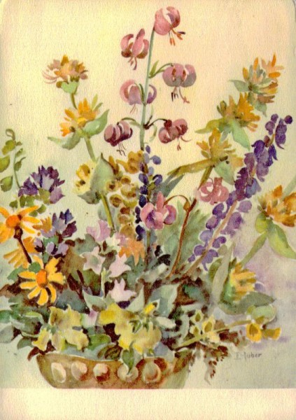 Alpenblumen Vorderseite