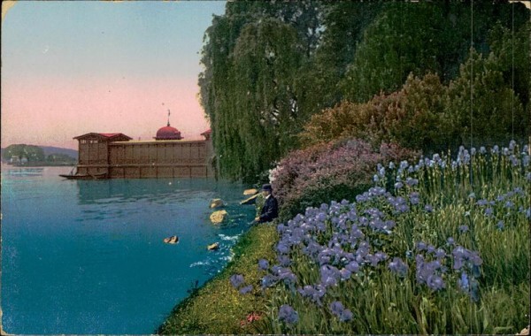 Zürich - Am Alpenquai Schwertlilien Vorderseite