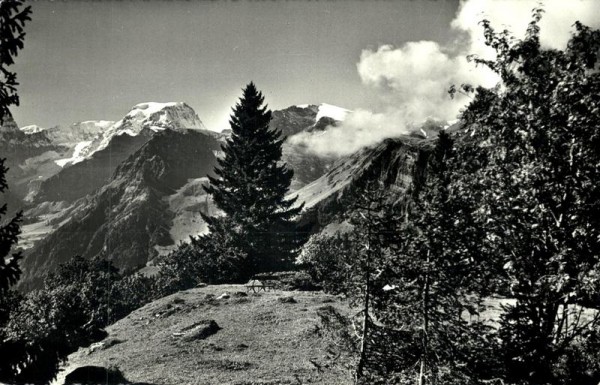 Im Hahnenbühl gegen Tödi, Braunwald Vorderseite