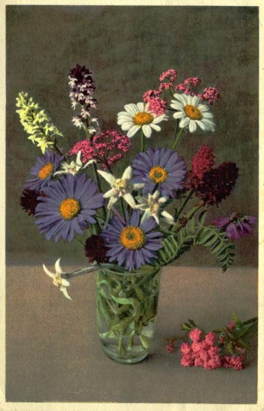 Bergblumen Vorderseite