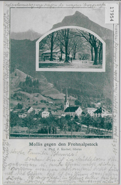 Mollis gegen den Frohnalpstock 1900