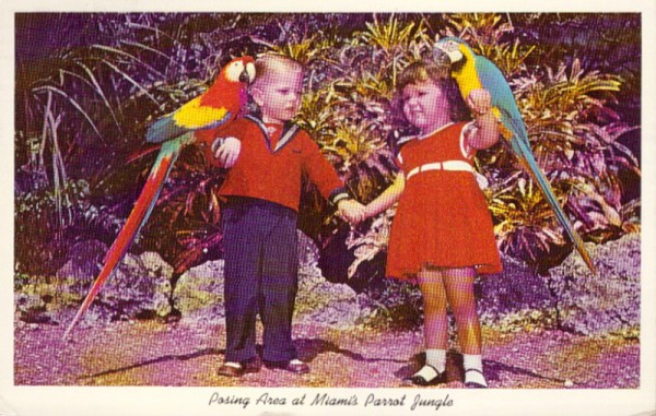 Posing Area at Miami's Parrot Jungle