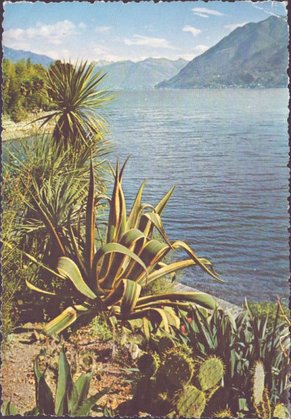 Isole de Brissago