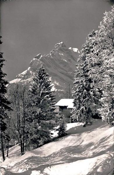 Braunwald, Grantenboden mit Ortstock Vorderseite