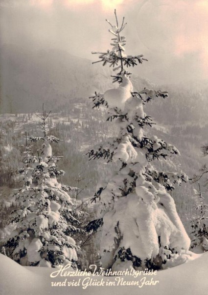 Weihnachts und Neujahrsgrüsse Vorderseite