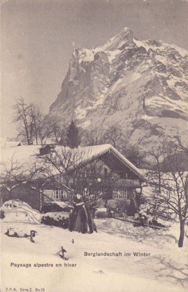 Berglandschaft im Winter-Paysage alpestre en hiver