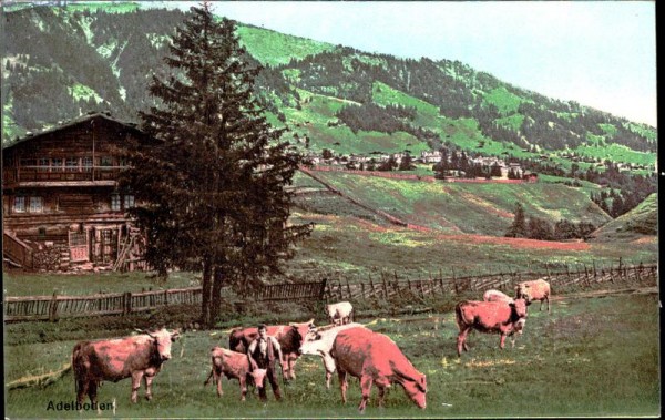 Adelboden Vorderseite