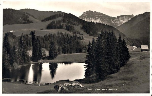 Lac des Joncs. 1943 Vorderseite