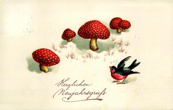 Herzlichen Neujahrsgruss Vorderseite