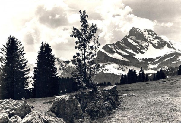 Stimmung auf Braunwald-Alp mit Ortstock Vorderseite