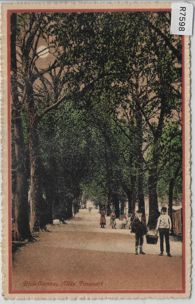 Biel Bienne - Allee Pasquart - animee - Litho Guggenheim
