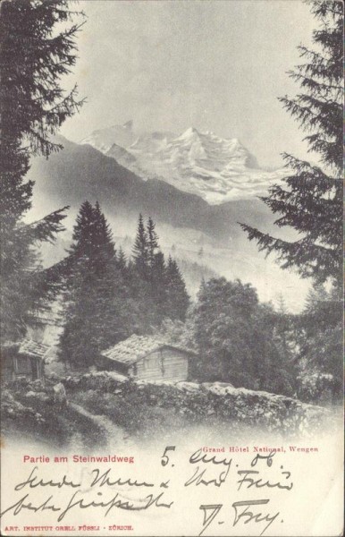 Partie am Steinwaldweg Vorderseite