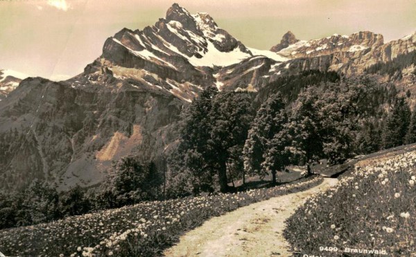 Braunwald, Ortstock und Hoher Turm Vorderseite
