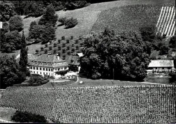 Ottoberg, Schlossgut Bachtobel, Flugaufnahme Vorderseite