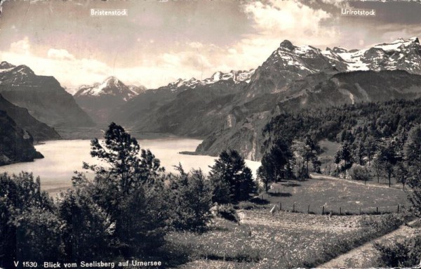 Blick vom Seelisberg auf Urnersee Vorderseite