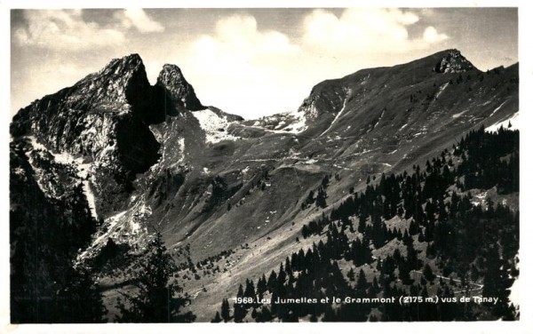 Les Jumelles et le Grammont Vorderseite