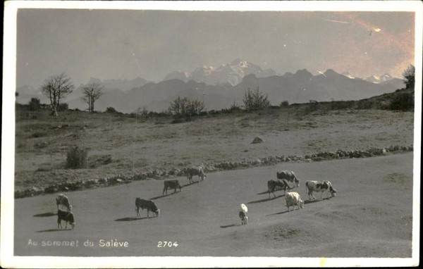 Au sommet du Salève Vorderseite