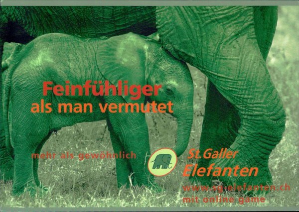 St. Galler Elefanten Vorderseite