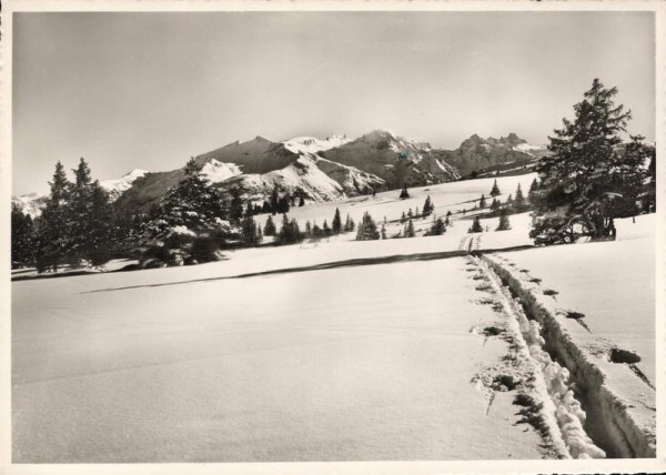 Bei Vermol ob Mels. Blick gegen graue Hörner - Piz Sol Vorderseite