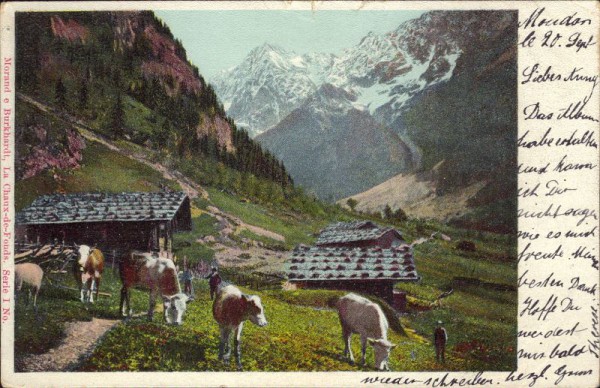 Alp