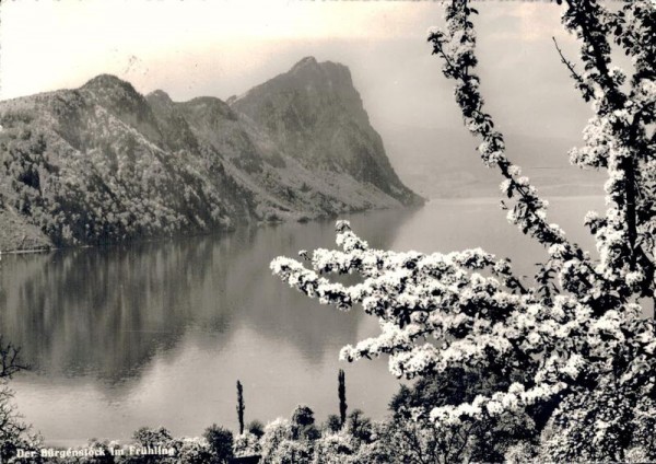 Der Bürgenstock im Frühling Vorderseite