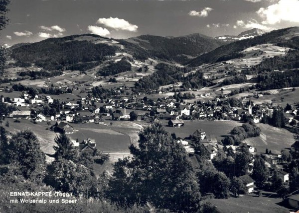 Ebnat-Kappel (Togg.) mit Wolzenalp und Speer Vorderseite