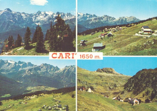 Cari