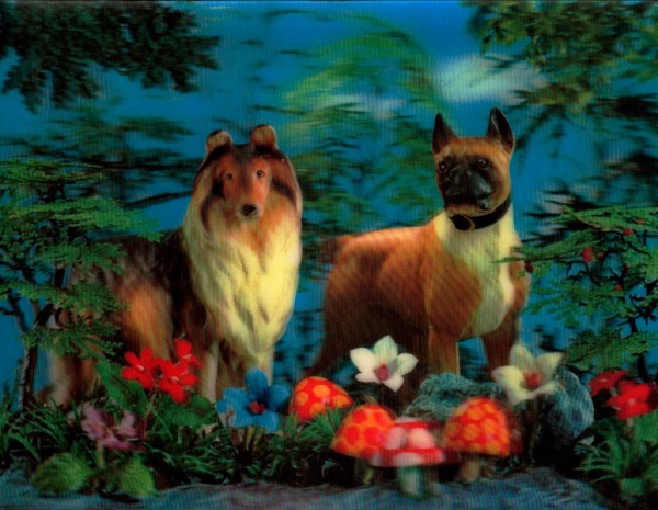 Hunde im Wald mit Pilzen 3D