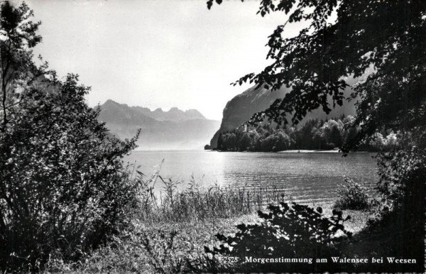 Morgenstimmung am Walensee bei Weesen Vorderseite