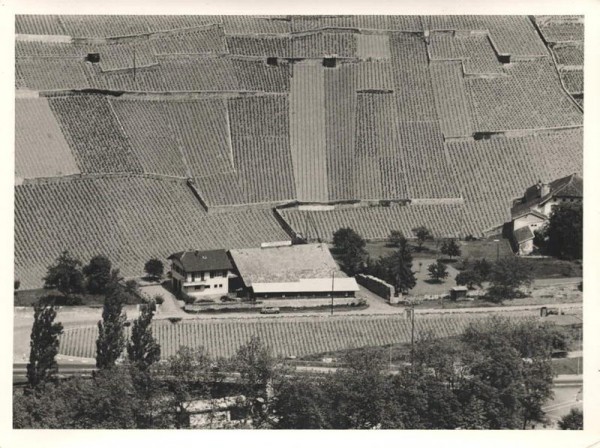 1860 Aigle VD, Chemin des Noyers 3 Vorderseite