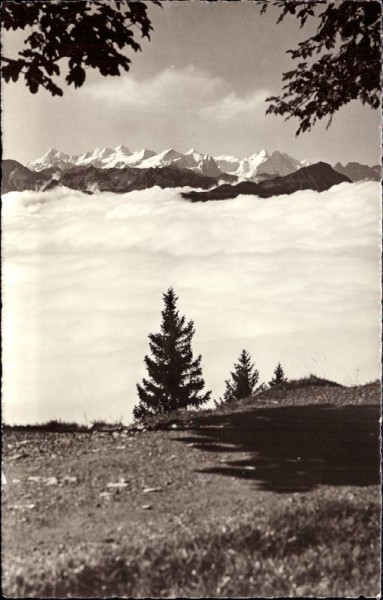 Blick vom Rigi auf Nebelmeer und Berneralpen